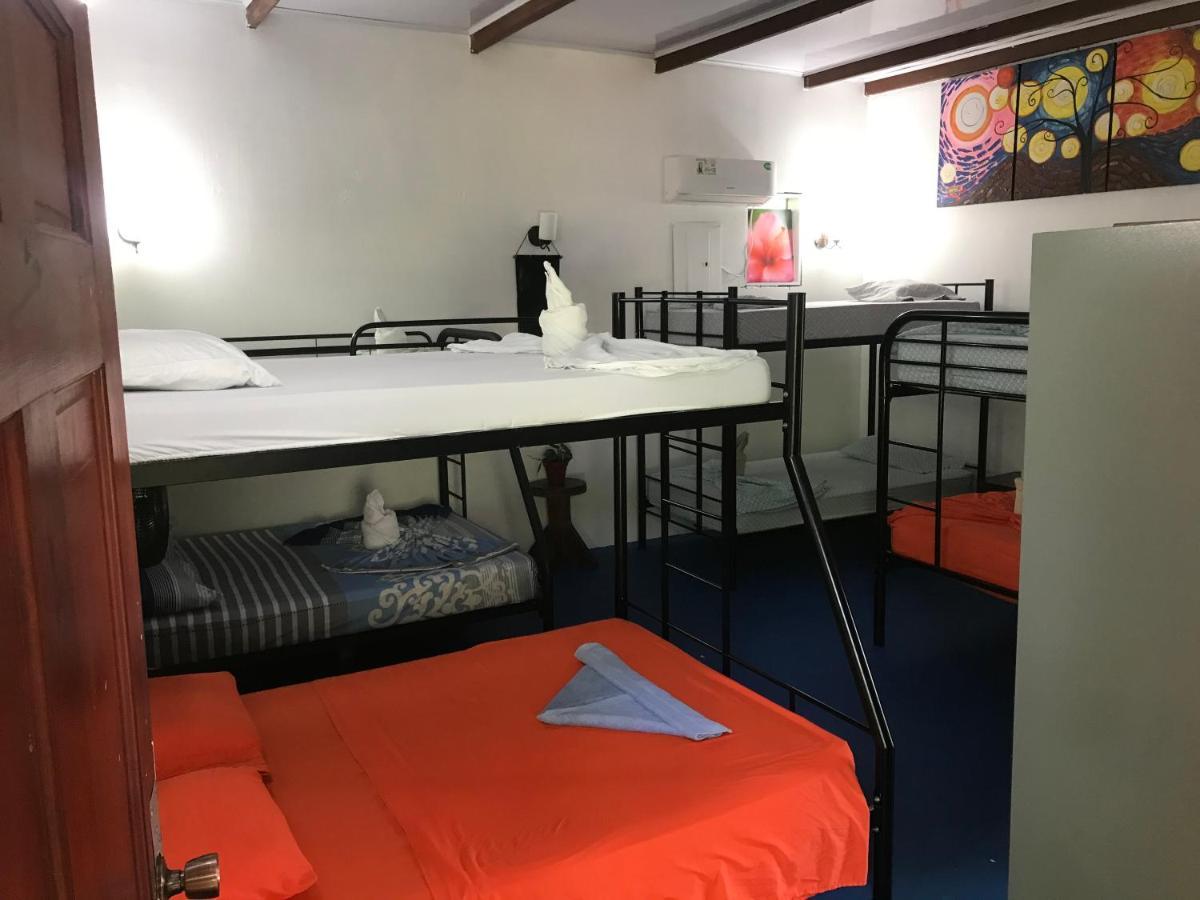 Luminosa Uvita Hostel Екстер'єр фото